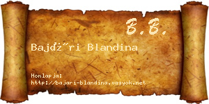 Bajári Blandina névjegykártya